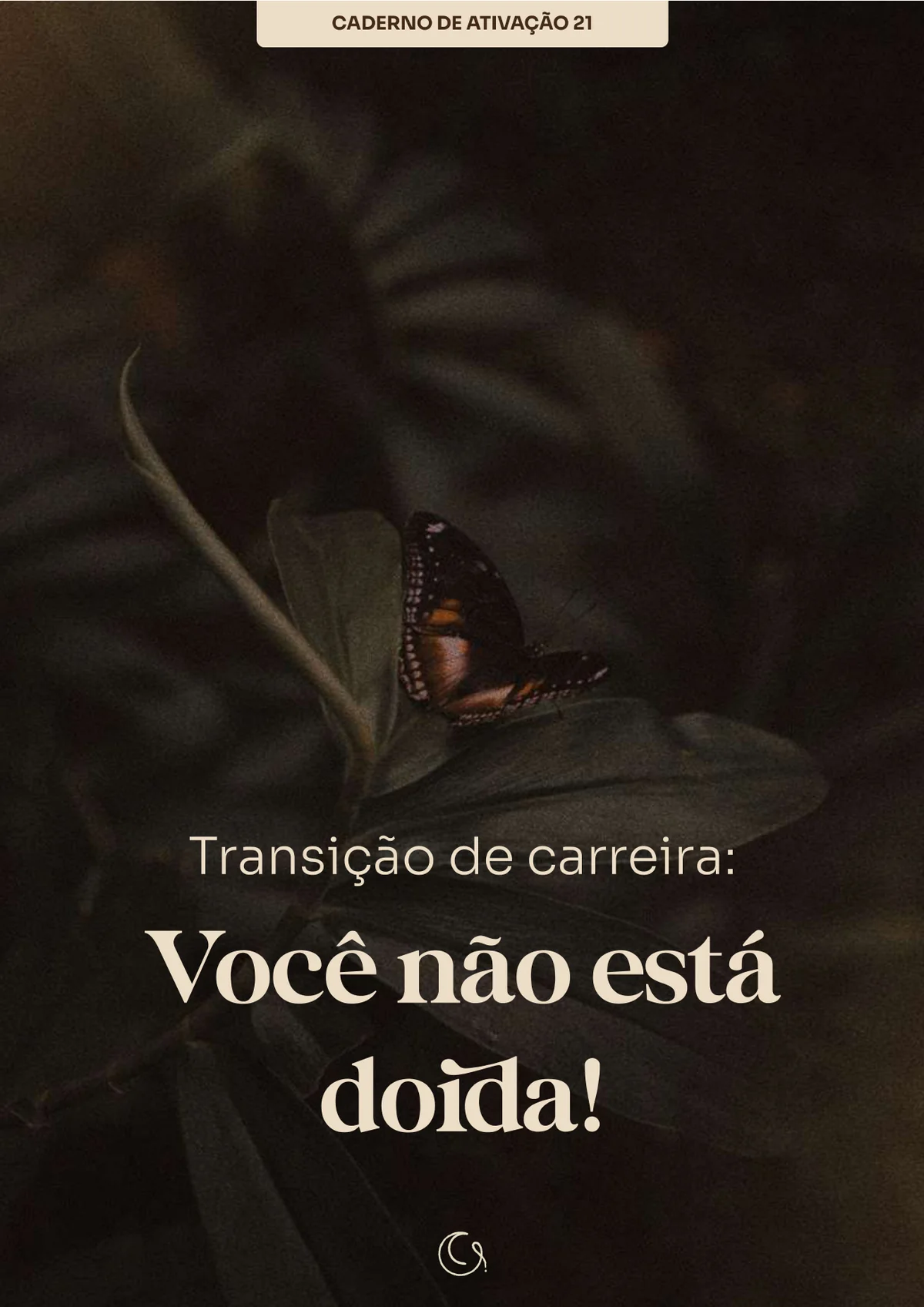Caderno: Transição de Carreira: Você Não Está Doida!