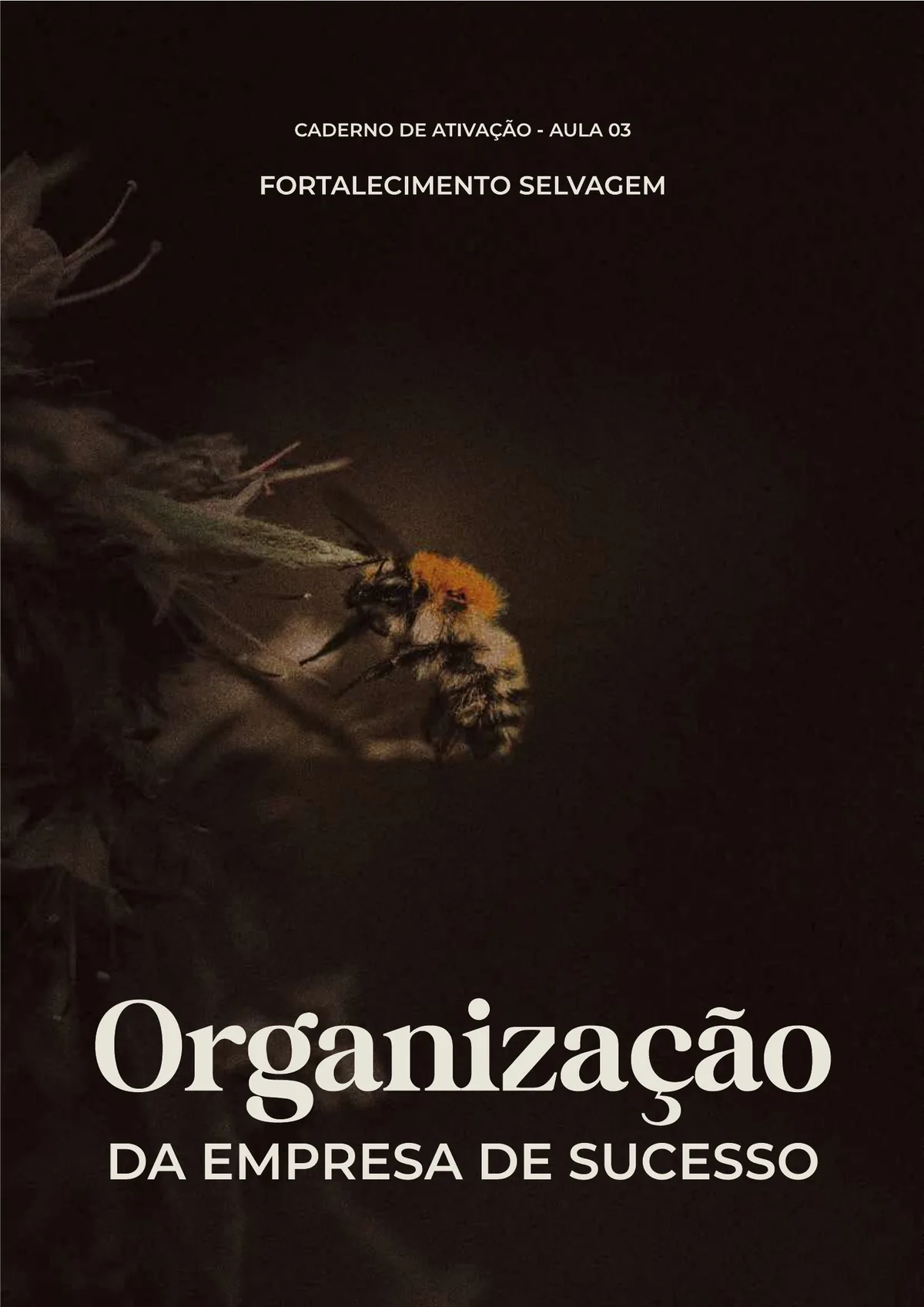 Caderno: Organização da Empresa de Sucesso