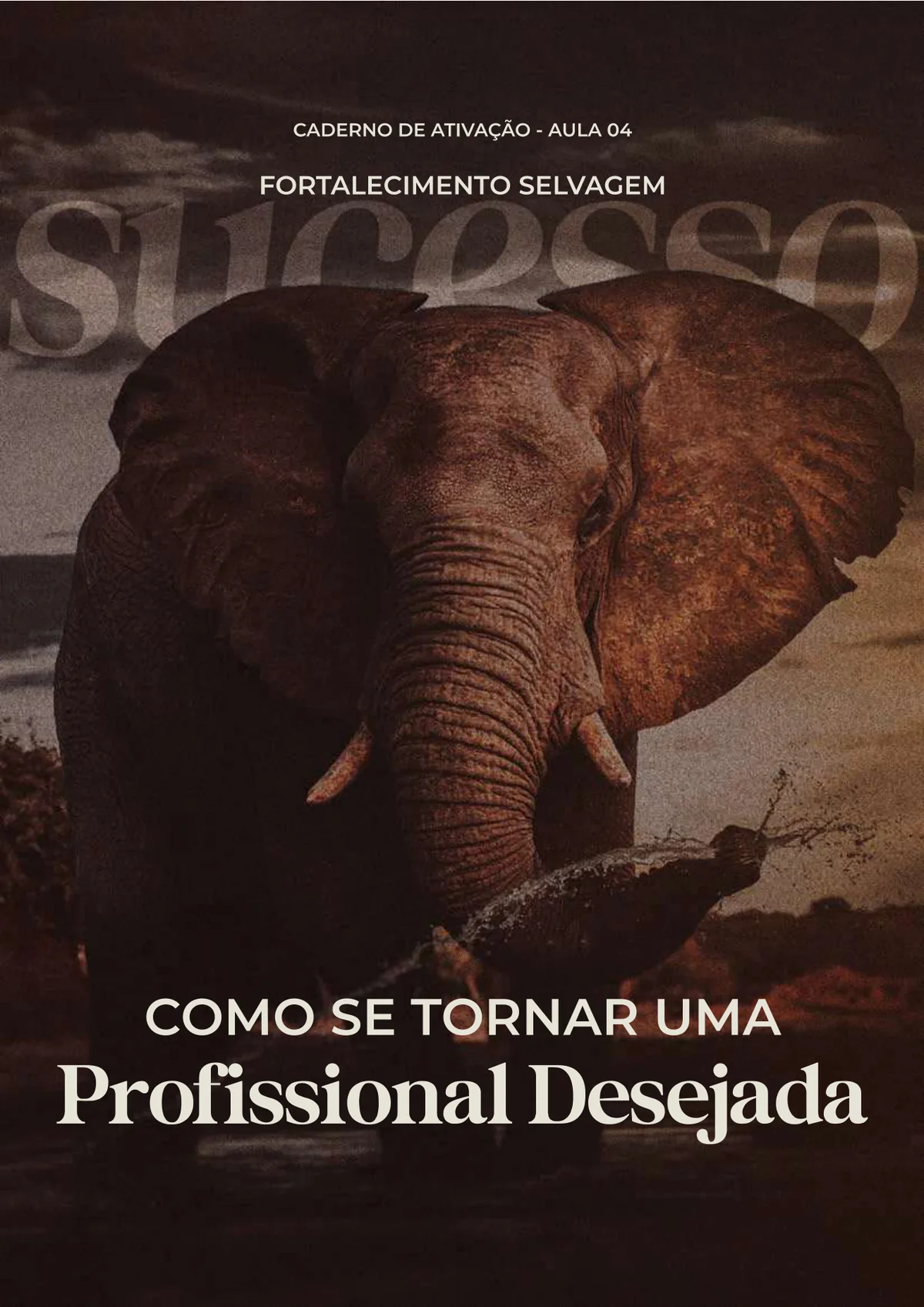 Caderno: Como se Tornar uma Profissional Desejada