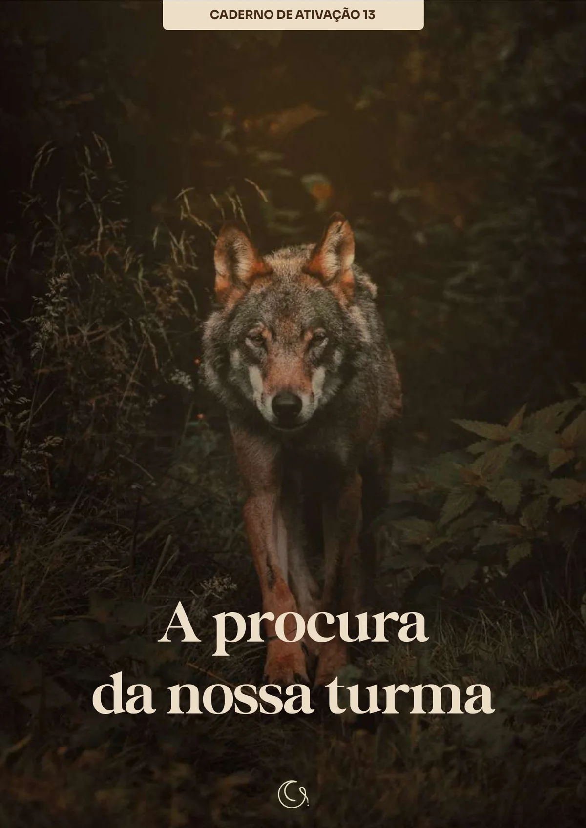 Caderno: A Procura da Nossa Turma