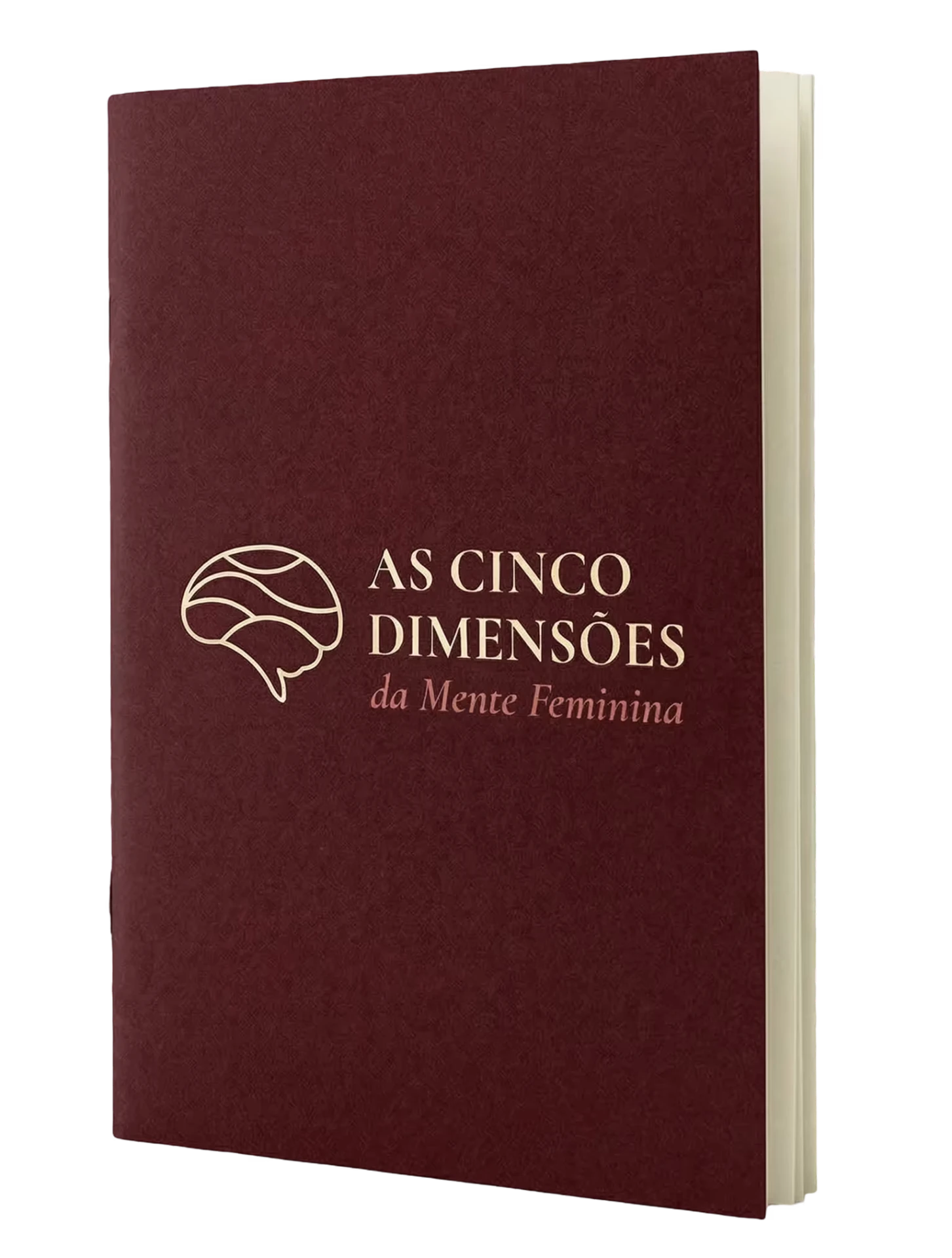 Mockup da Apostila de Aplicação